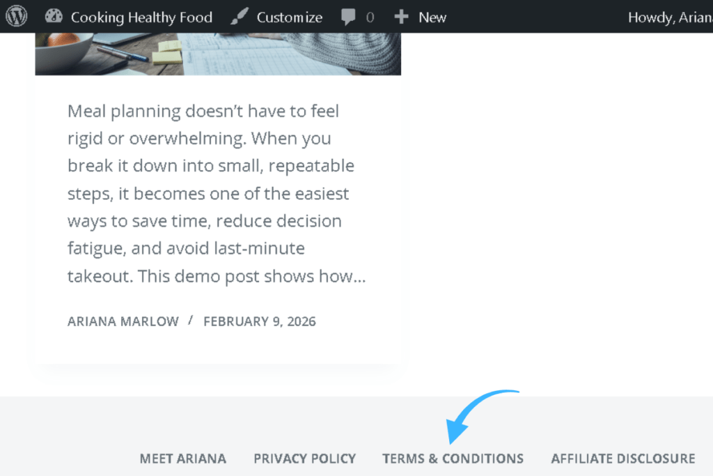 A live blog footer displaying the Terms and Conditions link alongside Privacy Policy and other pages on the right