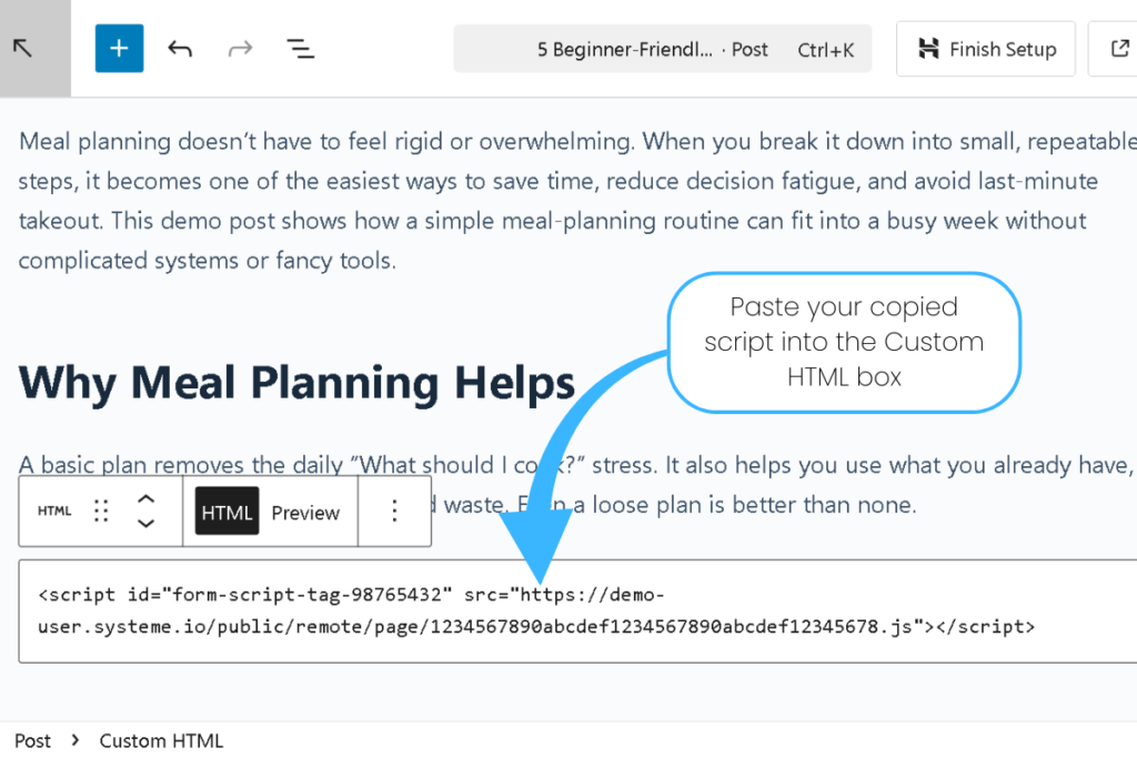 WordPress Gutenberg editor showing a Custom HTML block with a Systeme.io embed script for beginner bloggers